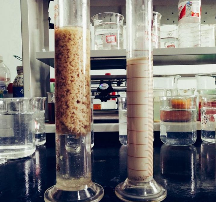 聚丙烯酰胺實(shí)驗(yàn) 聚丙烯酰胺實(shí)驗(yàn)