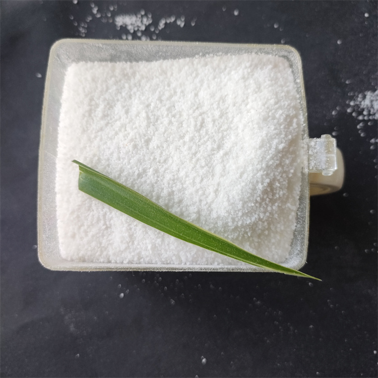 聚丙烯酰胺 聚丙烯酰胺