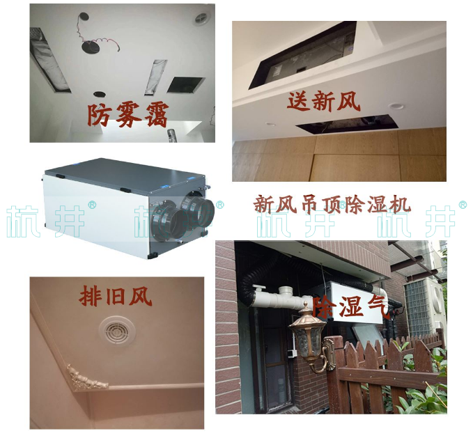 別墅中央吊頂除濕機